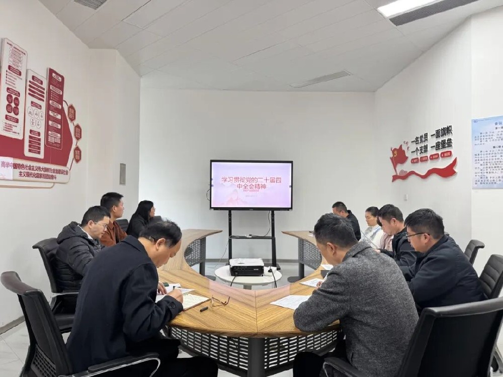 【党建园地】郑投产业园党支部组织开展党的二十届四中全会精神系列学习活动
